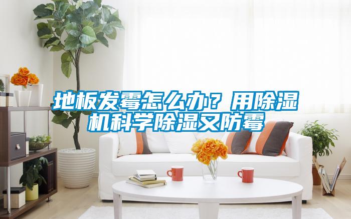 地板發(fā)霉怎么辦？用除濕機(jī)科學(xué)除濕又防霉