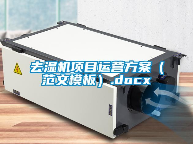 去濕機(jī)項(xiàng)目運(yùn)營(yíng)方案(范文模板).docx