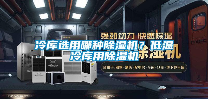 冷庫選用哪種除濕機(jī)?低溫冷庫用除濕機(jī)