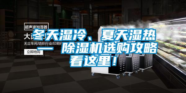 冬天濕冷、夏天濕熱 — 除濕機選購攻略看這里！
