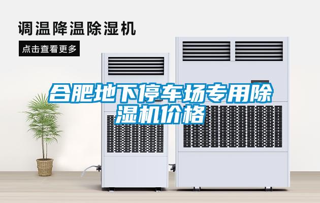 合肥地下停車(chē)場(chǎng)專用除濕機(jī)價(jià)格