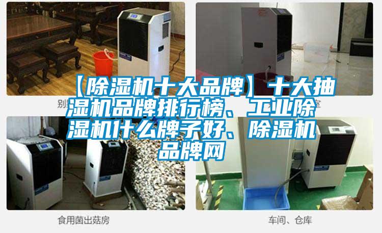 【除濕機(jī)十大品牌】十大抽濕機(jī)品牌排行榜、工業(yè)除濕機(jī)什么牌子好、除濕機(jī)品牌網(wǎng)
