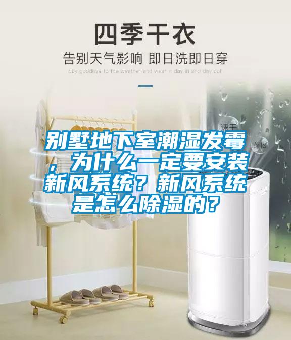 別墅地下室潮濕發霉，為什么一定要安裝新風系統？新風系統是怎么除濕的？