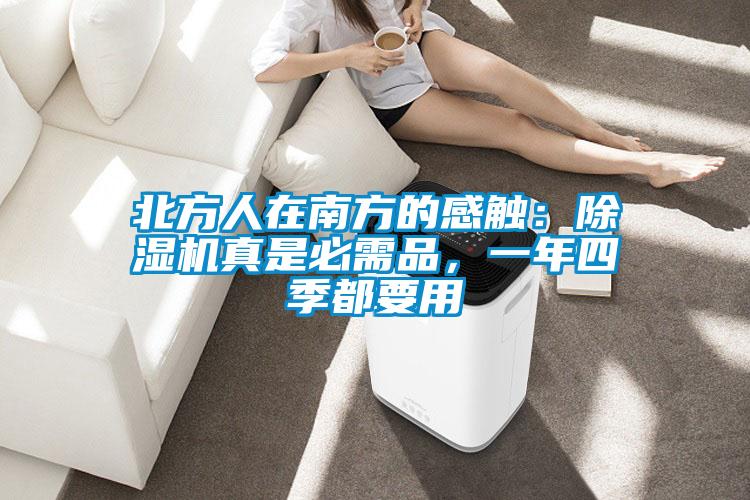 北方人在南方的感觸：除濕機(jī)真是必需品，一年四季都要用
