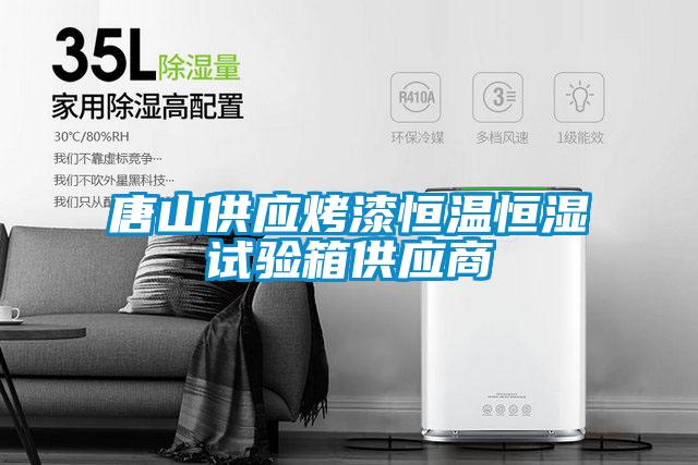 唐山供應(yīng)烤漆恒溫恒濕試驗箱供應(yīng)商