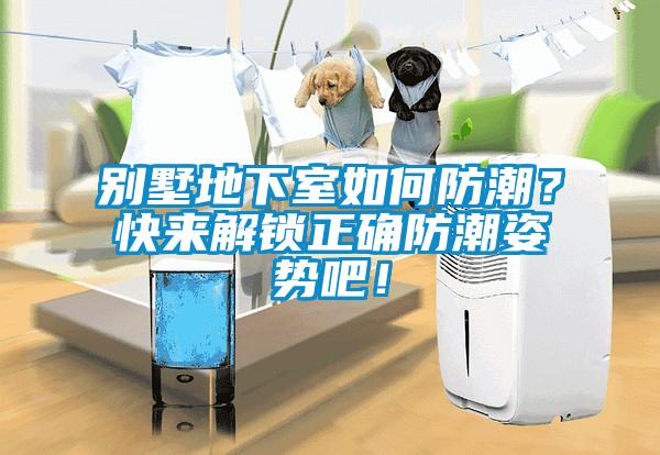 別墅地下室如何防潮？快來解鎖正確防潮姿勢吧！