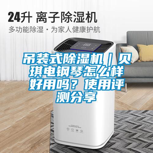 吊裝式除濕機(jī)｜貝琪電鋼琴怎么樣好用嗎？使用評(píng)測分享