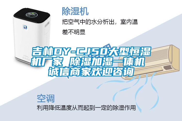 吉林DY-CJ50大型恒濕機(jī)廠(chǎng)家 除濕加濕一體機(jī) 誠(chéng)信商家歡迎咨詢(xún)
