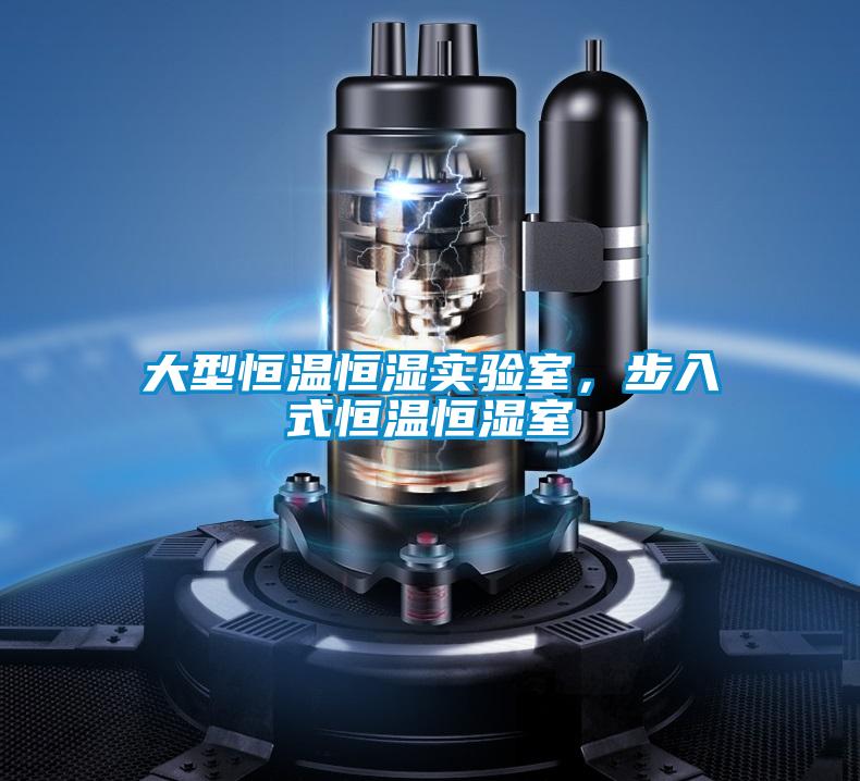 大型恒溫恒濕實驗室,步入式恒溫恒濕室