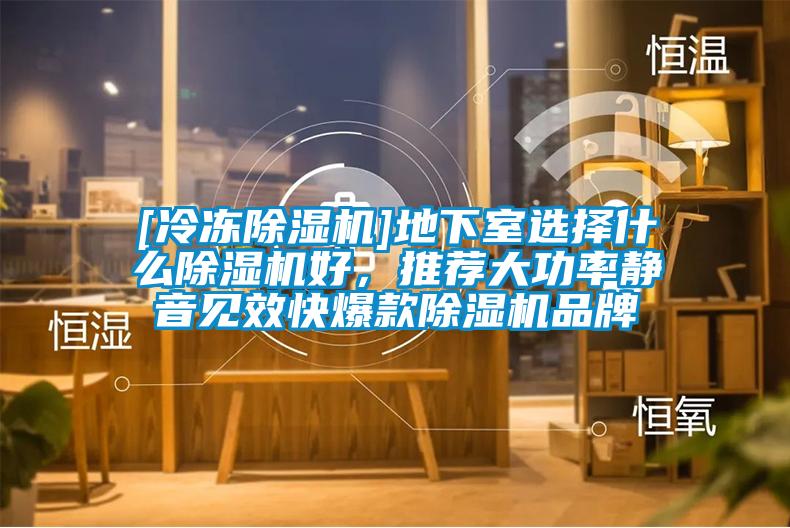 [冷凍除濕機]地下室選擇什么除濕機好，推薦大功率靜音見效快爆款除濕機品牌