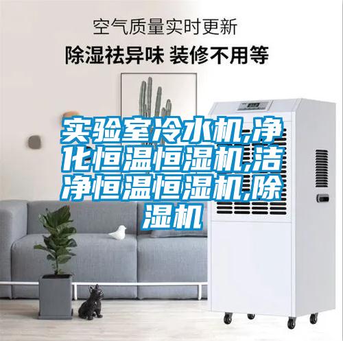 實驗室冷水機(jī),凈化恒溫恒濕機(jī),潔凈恒溫恒濕機(jī),除濕機(jī)