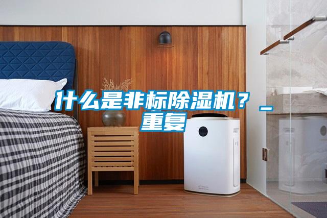 什么是非標(biāo)除濕機(jī)？_重復(fù)