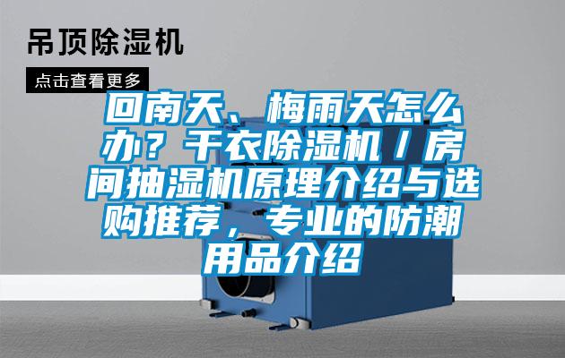 回南天、梅雨天怎么辦？干衣除濕機(jī)／房間抽濕機(jī)原理介紹與選購(gòu)?fù)扑]，專業(yè)的防潮用品介紹