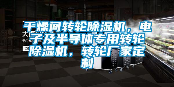 干燥間轉(zhuǎn)輪除濕機，電子及半導體專用轉(zhuǎn)輪除濕機，轉(zhuǎn)輪廠家定制