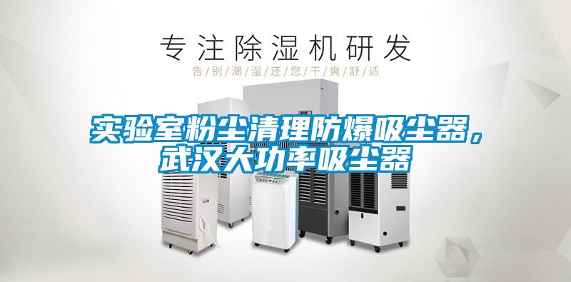 實驗室粉塵清理防爆吸塵器，武漢大功率吸塵器