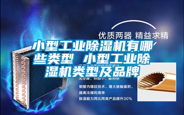 小型工業(yè)除濕機(jī)有哪些類(lèi)型 小型工業(yè)除濕機(jī)類(lèi)型及品牌