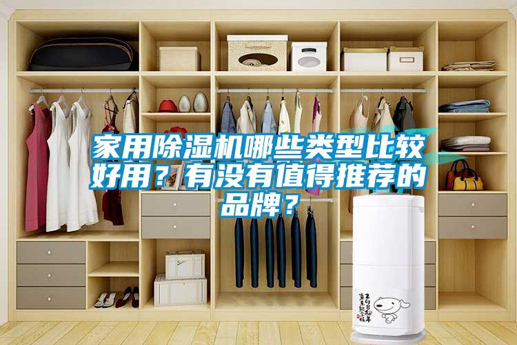家用除濕機哪些類型比較好用？有沒有值得推薦的品牌？