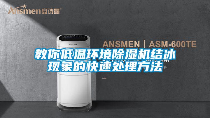 教你低溫環(huán)境除濕機結冰現象的快速處理方法