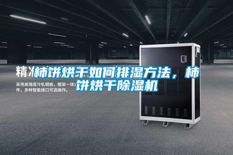 柿餅烘干如何排濕方法，柿餅烘干除濕機
