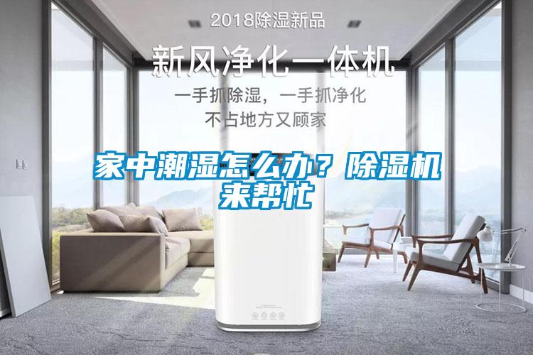 家中潮濕怎么辦？除濕機來幫忙