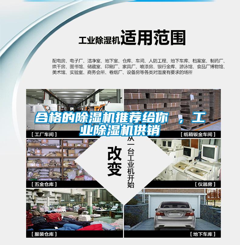 合格的除濕機(jī)推薦給你 ，工業(yè)除濕機(jī)供銷