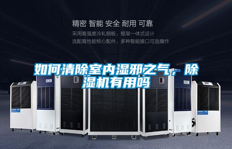 如何清除室內(nèi)濕邪之氣，除濕機有用嗎