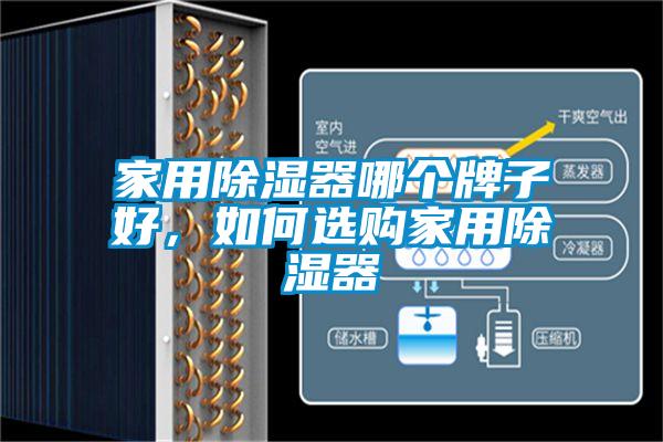 家用除濕器哪個(gè)牌子好，如何選購(gòu)家用除濕器