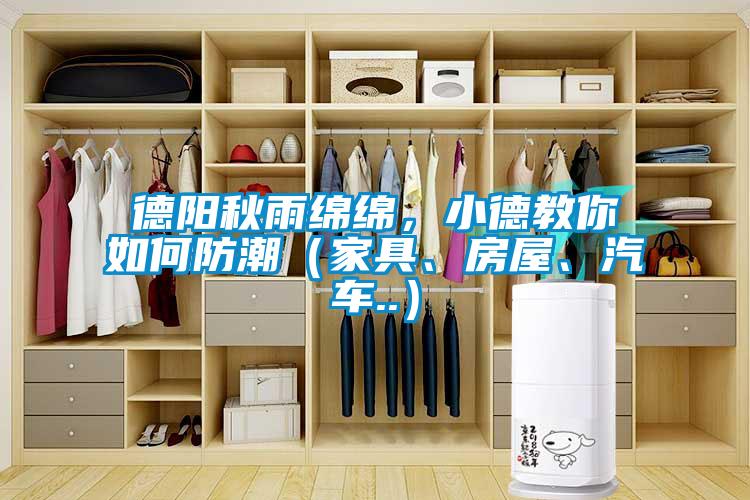 德陽(yáng)秋雨綿綿，小德教你如何防潮（家具、房屋、汽車..）