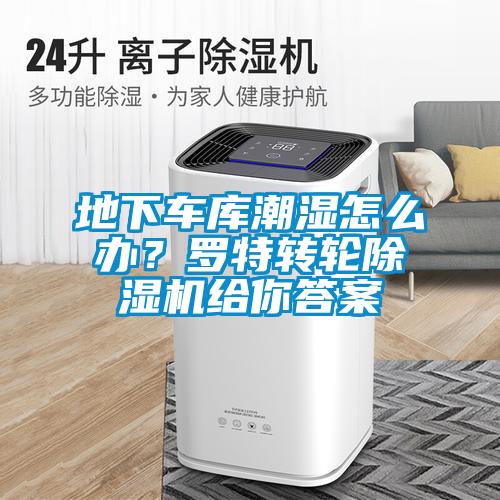 地下車庫潮濕怎么辦？羅特轉(zhuǎn)輪除濕機給你答案