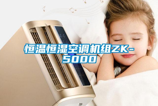 恒溫恒濕空調(diào)機組ZK-5000