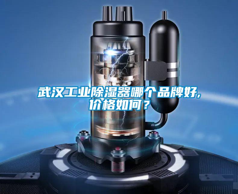 武漢工業除濕器哪個品牌好,價格如何？