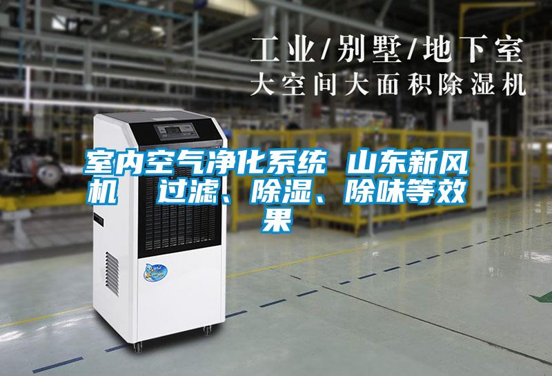 室內空氣凈化系統(tǒng) 山東新風機  過濾、除濕、除味等效果