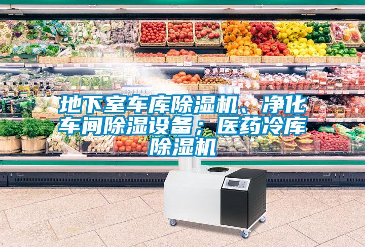 地下室車庫除濕機、凈化車間除濕設備；醫藥冷庫除濕機