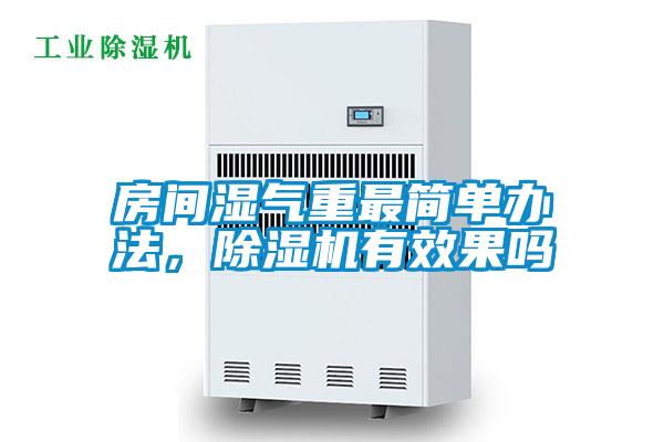 房間濕氣重最簡單辦法，除濕機有效果嗎