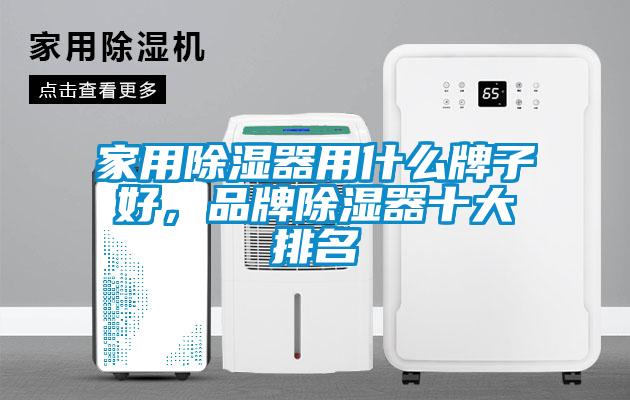 家用除濕器用什么牌子好，品牌除濕器十大排名