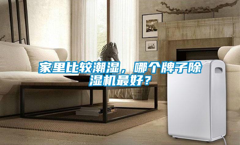 家里比較潮濕，哪個(gè)牌子除濕機(jī)最好？