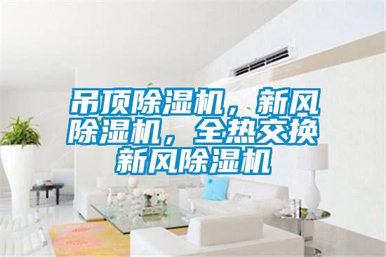 吊頂除濕機，新風(fēng)除濕機，全熱交換新風(fēng)除濕機