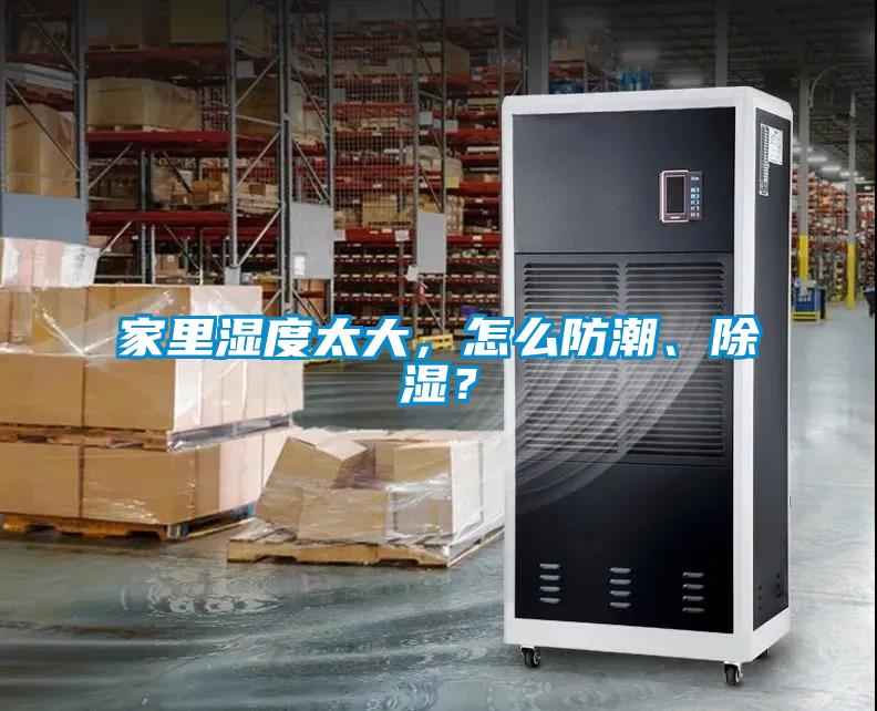 家里濕度太大，怎么防潮、除濕？
