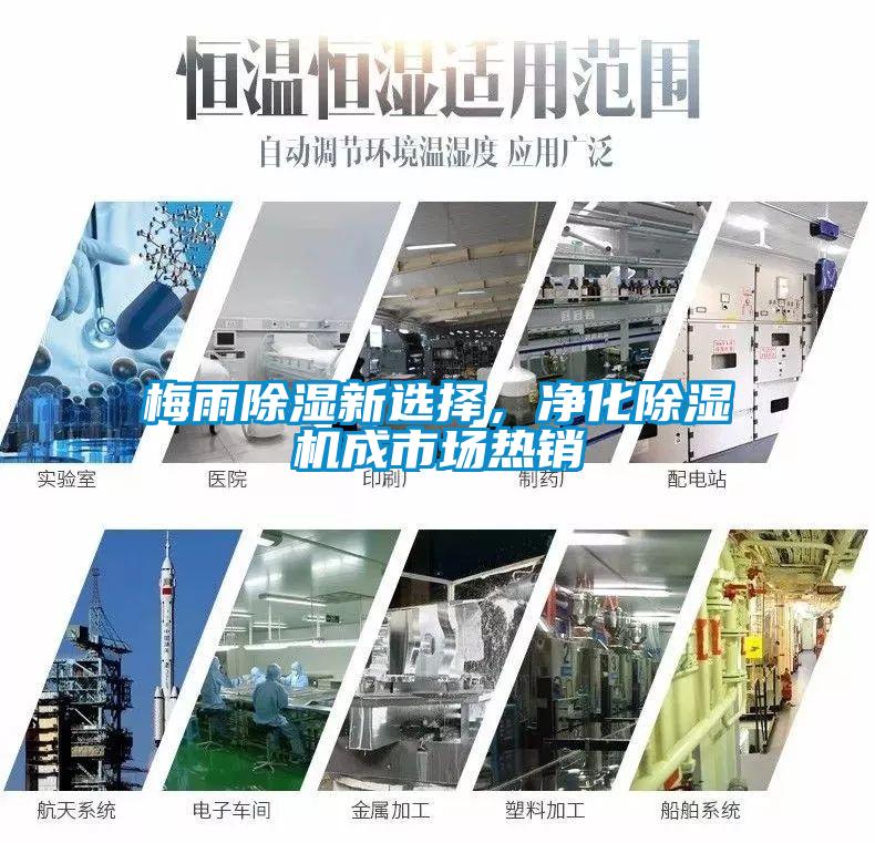 梅雨除濕新選擇，凈化除濕機(jī)成市場(chǎng)熱銷