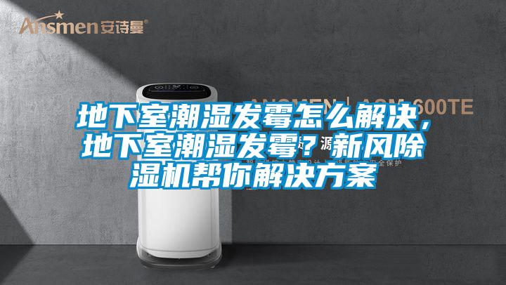 地下室潮濕發霉怎么解決，地下室潮濕發霉？新風除濕機幫你解決方案