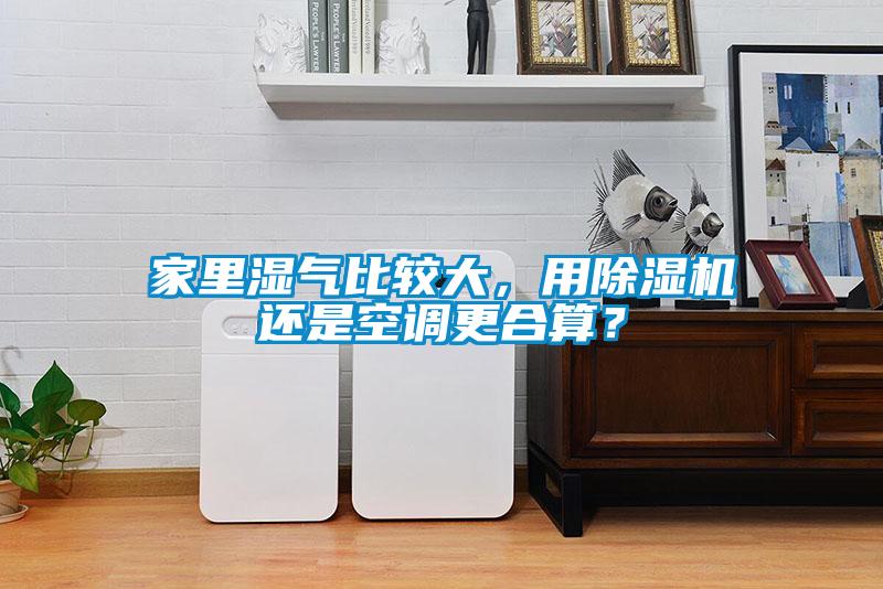 家里濕氣比較大，用除濕機還是空調更合算？