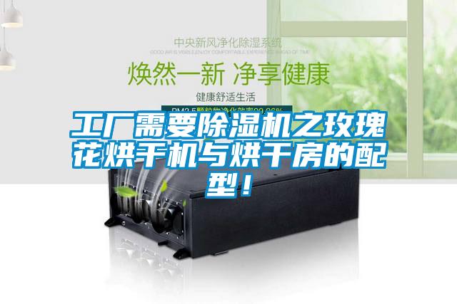工廠需要除濕機之玫瑰花烘干機與烘干房的配型！