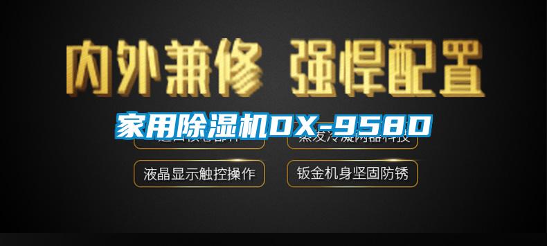 家用除濕機(jī)DX-958D