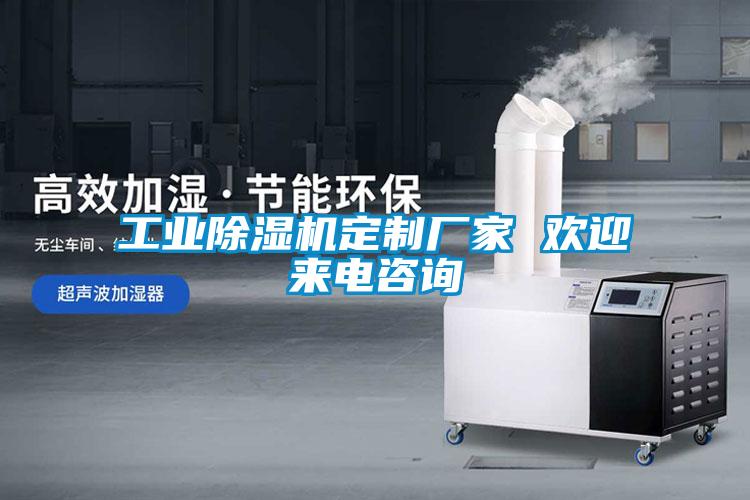 工業(yè)除濕機(jī)定制廠(chǎng)家 歡迎來(lái)電咨詢(xún)