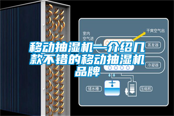 移動(dòng)抽濕機(jī)—介紹幾款不錯(cuò)的移動(dòng)抽濕機(jī)品牌