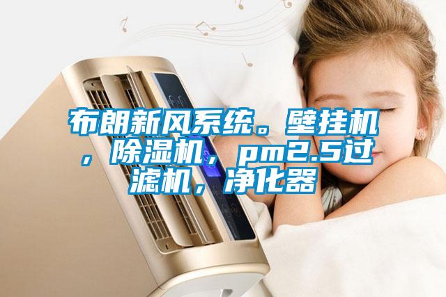 布朗新風系統。壁掛機，除濕機，pm2.5過濾機，凈化器