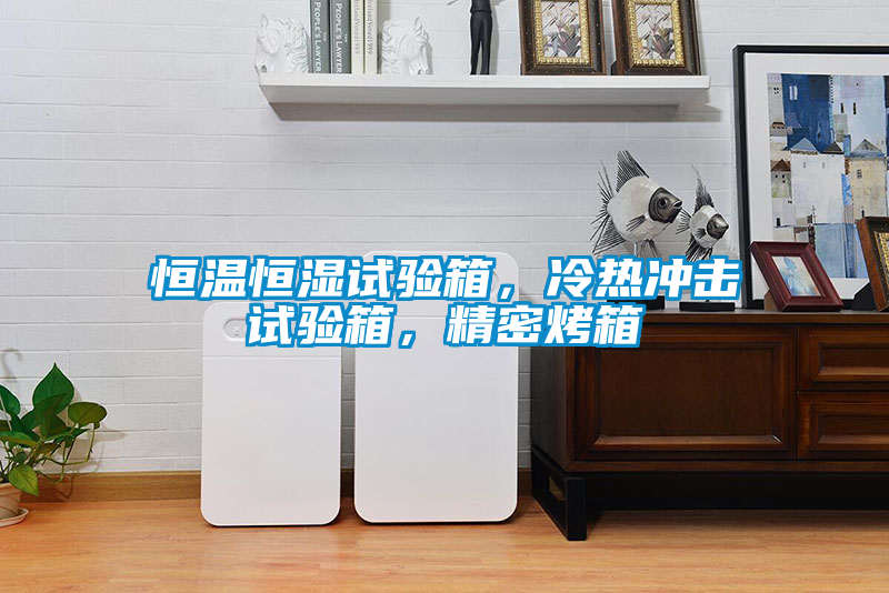 恒溫恒濕試驗箱，冷熱沖擊試驗箱，精密烤箱