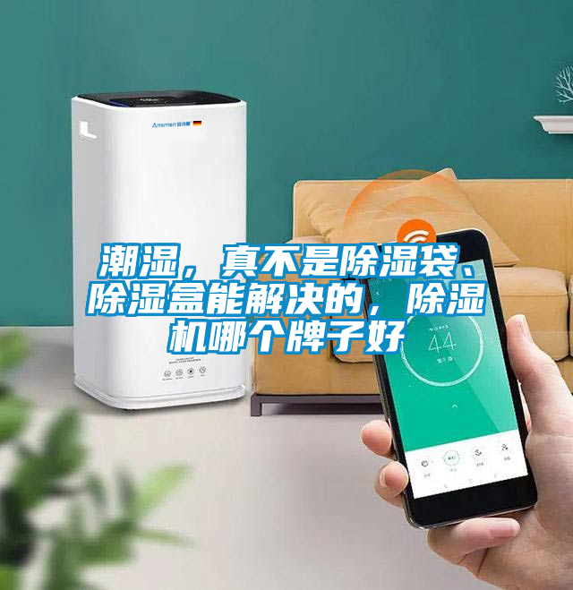 潮濕，真不是除濕袋、除濕盒能解決的，除濕機(jī)哪個牌子好