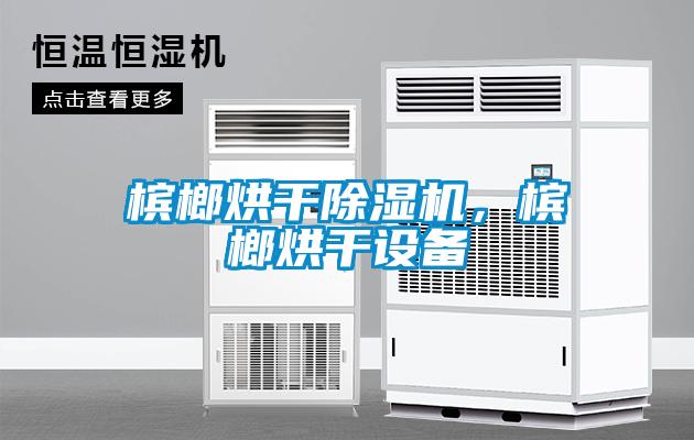 檳榔烘干除濕機，檳榔烘干設備