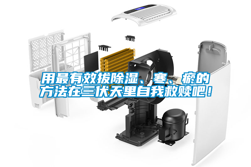 用最有效拔除濕、寒、瘀的方法在三伏天里自我救贖吧！